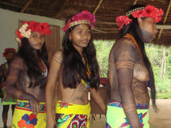   Embera, By Thierry Leclerc.  