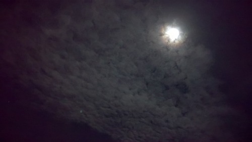 c0ry-c0nvoluted:  The moon looked so cool last night. Tomorrow (11/14/16) is supposed to be a Super Moon: the biggest it will be for 20 years or so. I couldn’t get the moons details with my phone, but how the clouds cute the ring around the moon in