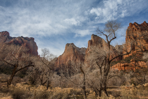 Sundance Film Festival 2015: Zion National ParkWe combined our two favorite things, cinema and beaut