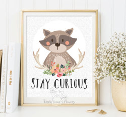 illustrationsforinstance:  Stay curious Nursery wall art print Printable raccoon Wall art Decor illustration nursery decoration  nursery quotes raccoon print ID114