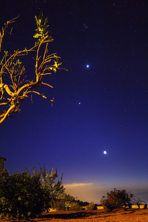 Night sky just after sunset on March 24, 2012 with crescent moon and backlight, Jupiter, Venus and t