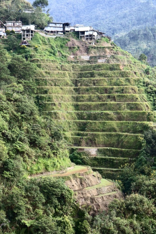 breathtakingdestinations: Banaue - Philippines (by Stefan Munder)  