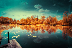 thekhooll:  Infrared Photography  Infrared photographs taken by France-based photographer David Keochkerian look like bizarre, saturated landscapes created from a Dr. Seuss illustration.  