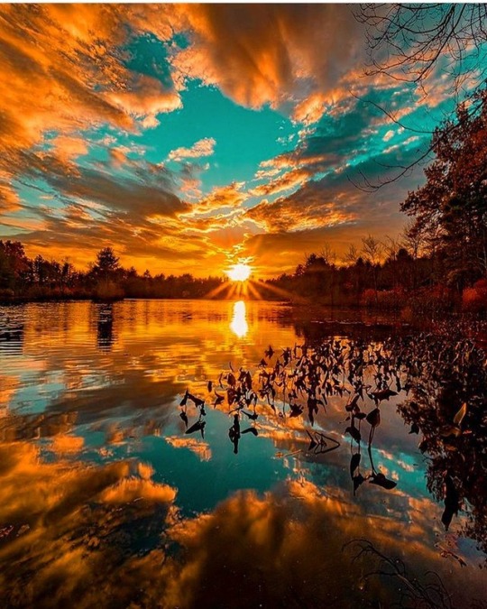 lifeisgoodafter50:  