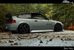 radracerblog:  Spoon Crx