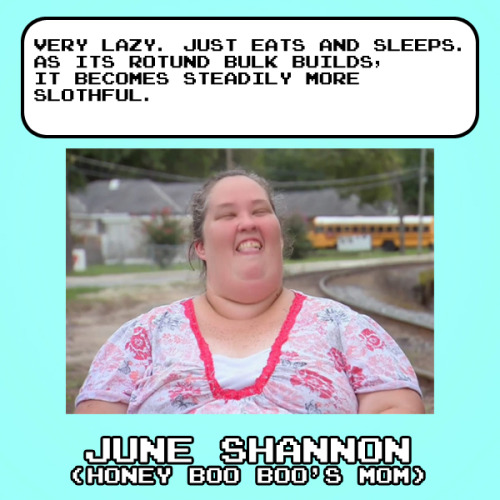 Celebrity Pokedex Entries