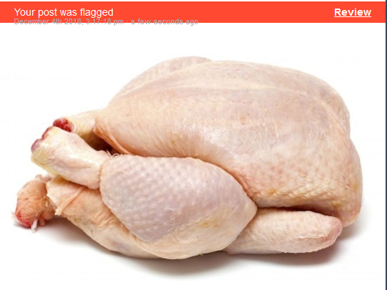 fumgi:  dealusis:Pretty sure the algorithm is just tagging fleshy toned stuff. Like