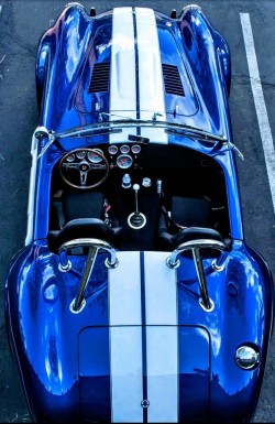 topvehicles:  Shelby Cobra via reddit