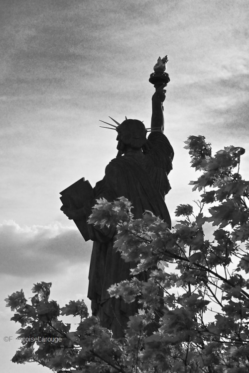 Paris Statue de la Liberté©FrançoiseLarouge2022