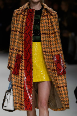 crosstheocean:  miu miu fall 2015  