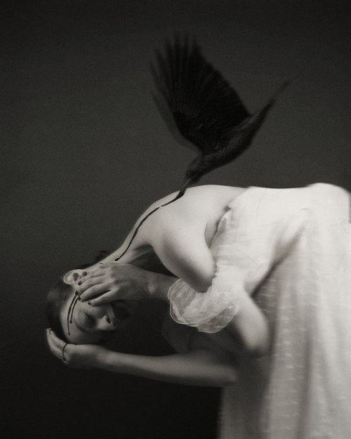 elsadreams:© Josephine Cardin