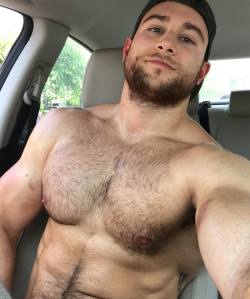 sjcollegeboi:  🐻🐻🐻