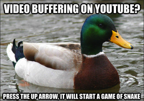 jaiking:  frankenbolt:  moriartygodofmischief:  This mallard is a friggin genius  …THAT FIRST ONE. THANK YOU DUCK.   Follow me at http://jaiking.tumblr.com/ You’ll be glad you did.