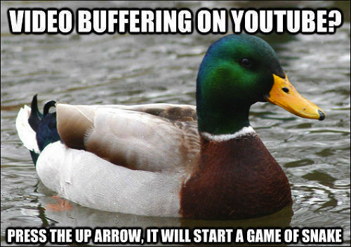 frankenbolt:  moriartygodofmischief:  This mallard is a friggin genius  …THAT FIRST ONE. THANK YOU DUCK. 