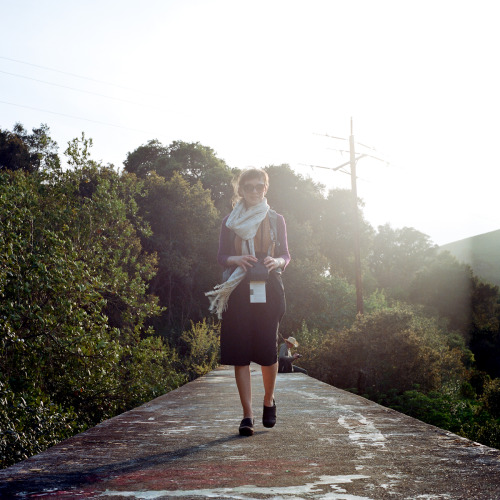 nathanedward: Finch on the sidewalk//East Bay hills