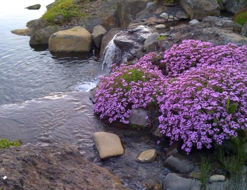 justemoinue2: Water Features, Yakima, Washington 