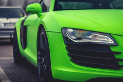 johnny-escobar:  Matte lime green R8