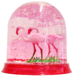 oldflorida:  Flamingo Friday 