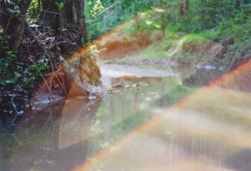 -blending-styria, austriaMinolta X700   |   KodakGold 200  | FilmNo. XXIII