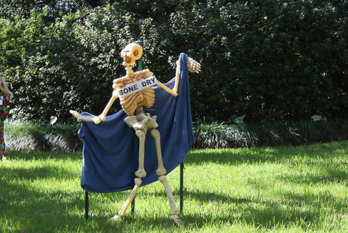 trashfirefallon:  xoxoblu:  quillusquillus:  maosandchayhem:  So I drive by this house every day on my way to work and it is definitely the Skeleton War HQ Photo Source: [x]  this is a fucking masterpiece   @trashfirefallon  I can’t go back to jail