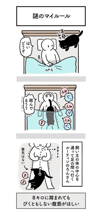 highlandvalley:  ねこに翻弄されつつもたのしい日常の絵日記（4まいある） #ろんの絵日記https://twitter.com/bou128/status/1368151944653508608