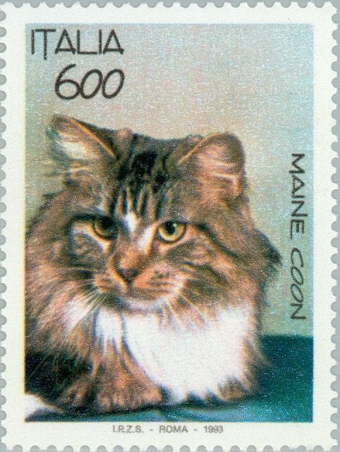 stamp-it-to-me:a 1993 Italian stamp from a series on domestic cats[id: a postage stamp with an image