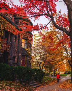 cozyautumnchills: Walking through a Fall Wonderland 🍁🍂🍂St. George Street, UofT