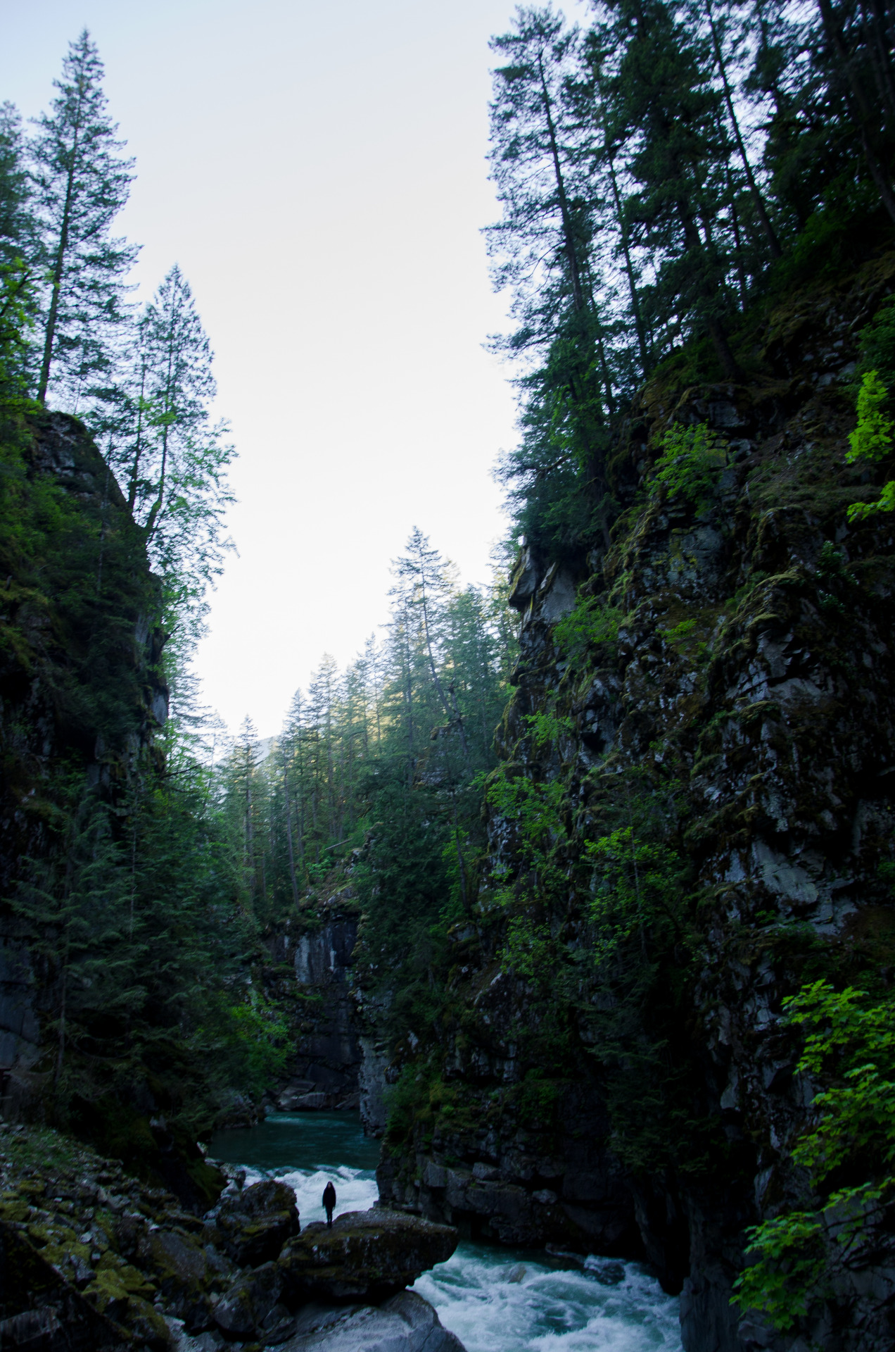 michaellamartin:  Sunrise in Coquihalla. 