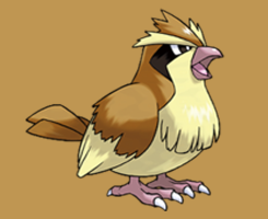 Pokémon: Common Birds