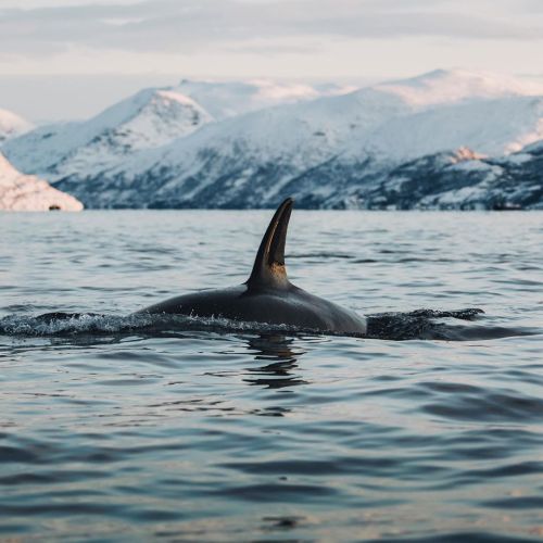 Beautiful Norway By :