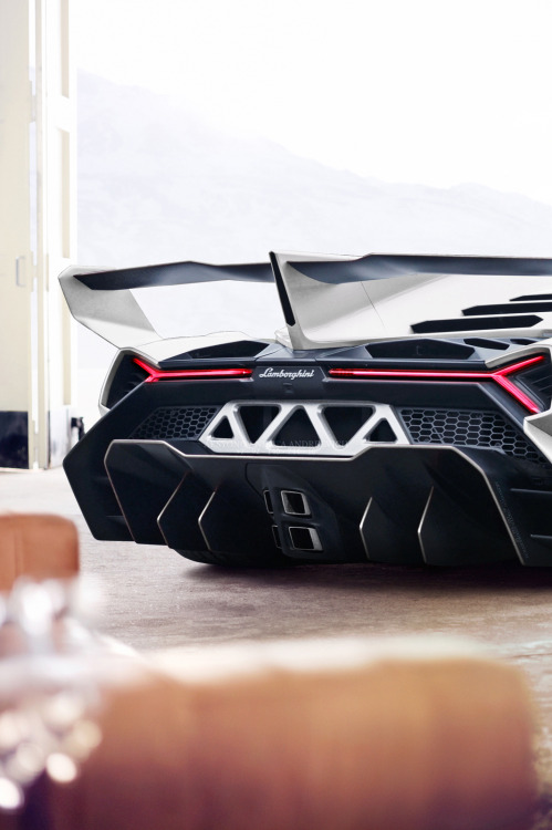 w-0nders: Veneno | Credit