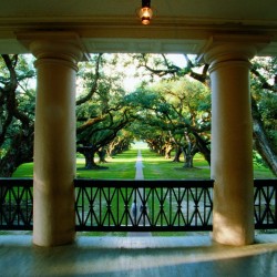 specksofglitterandgold:  via Oak Alley Plantation