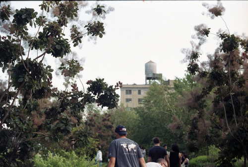 high line, nyc