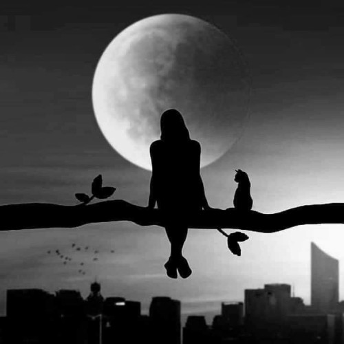 Shall We Look At The Moon, My Little Loon?