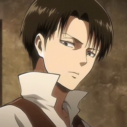 Featured image of post Aot Levi Ackerman Icons