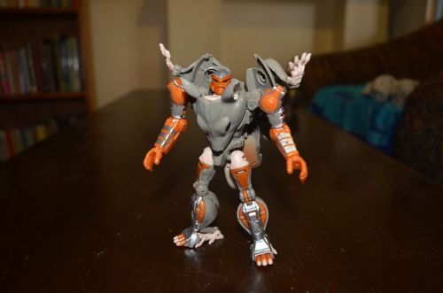 Yet more images of generations Rattrap. And a work in progress custom of Dinobot out of Springer.