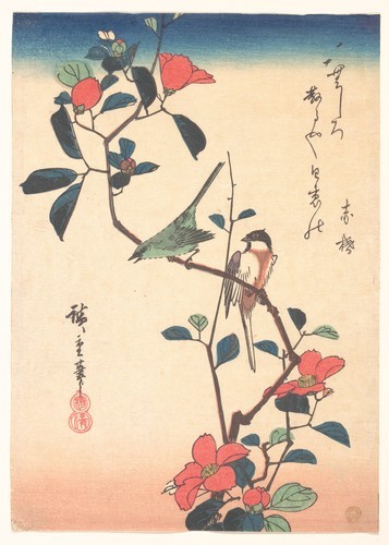 met-asian:椿に目白と四十雀図|Japanese White-eye and Titmouse on a Camellia Branch by Utagawa Hiroshige, Metro
