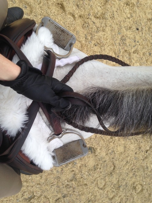 horseingaboutt:shehearshoofbeats:erinmariemcg:Equestrian problemsthis is pure goldI enjoye