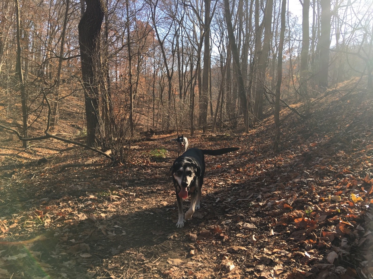camdamage: camdamage:  Real good hike with the boys today ❤️❤️  How are we
