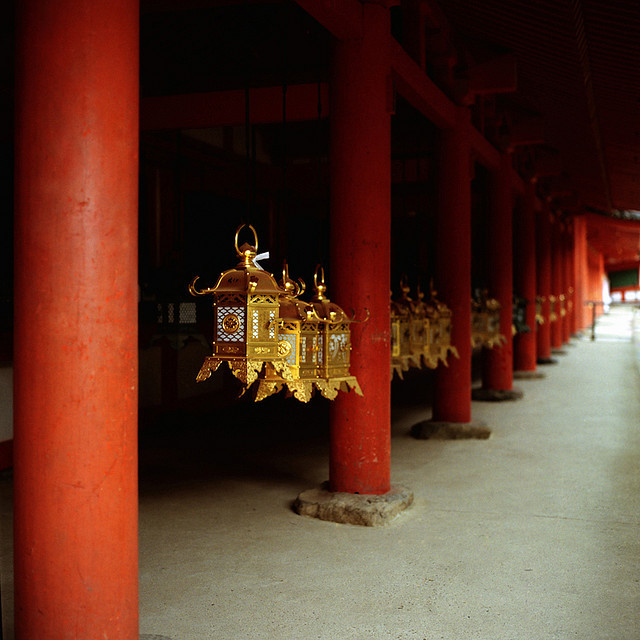 italdred:  (by Yocca) 