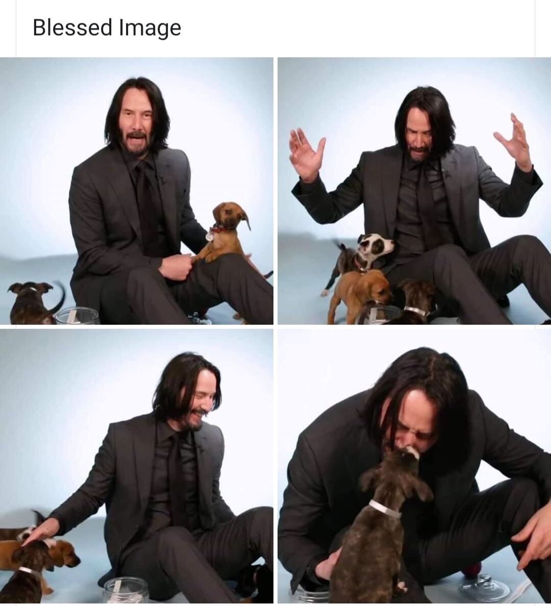SomeCuteThing — Keanu Reeves playing with puppies? Yes please!!