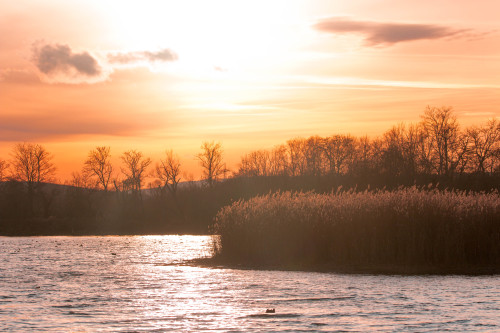 A day on the Lake   |   © l   |   ιηѕтαgяαм