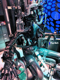 pupbolt:More of Bolt’s Helsinki adventures and challenges with Trikoot. A few hours securely held in position against a vibro-wand and being fed poppers through a breathe-through inflatable gag and a bubbler bottle - as every rubber gimp should be.