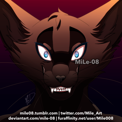  Profile picture [C] - Black CatCommission for Gwenell__, character belongs to them. Commissions I