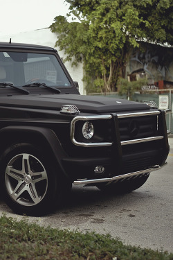 auerr:  Mercedes-Benz G55 AMG