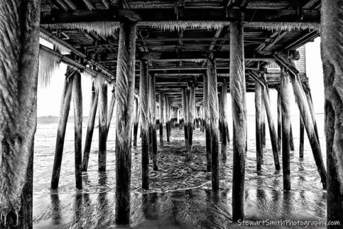 One of my favorite pictures I took today under @theoobpier / @thepieroob .. I like the texture, comp