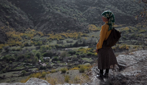 365filmsbyauroranocte: Honeyland (Tamara Kotevska &amp; Ljubomir Stefanov, 2019)