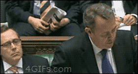 arside:  daysofxavierspast:  kenway-or-the-highway:  4gifs:  Air guitar during parliament  Ladies and Gentlemen, our Legislature.   I like how he stops when he thinks the other guys clocked on. 