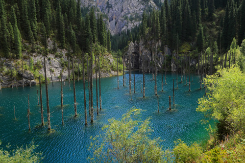 expressions-of-nature:Lake Kaindy, Kazakhstan by Eugenyi Zinov