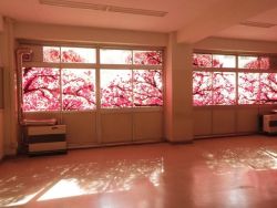 aquaticwonder:   Hand Made Cherry Blossom Windows 